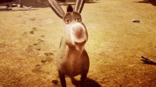 giphy (30)