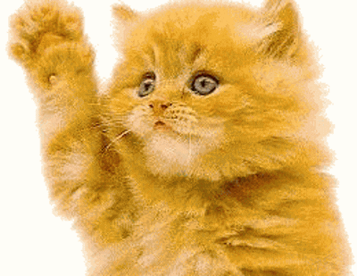 giphy-2