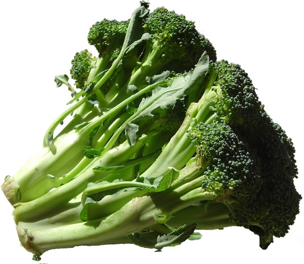 Broccoli_DSC00862.jpg